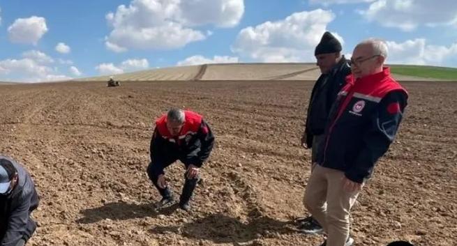 Aksaray’da TAKE Projesi kapsamında üreticilere dağıtılan nohut tohumlarının gelişim süreci