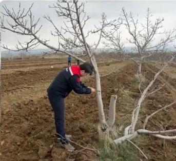 Aksaray Tarım ve Orman Müdürlüğü, hafta sonu üretici buluşmalarını sürdürüyor.