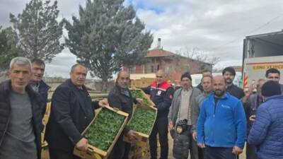 Aksaray’da seracılık yapan üreticilere domates, biber, patlıcan ve salatalık fideleri
