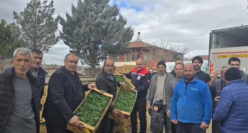 Aksaray’da seracılık yapan üreticilere domates, biber, patlıcan ve salatalık fideleri