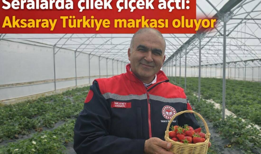İl Tarım ve Orman Müdürü Nejdet Demir, Güzelyurt’taki çilek seralarını