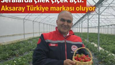 İl Tarım ve Orman Müdürü Nejdet Demir, Güzelyurt’taki çilek seralarını