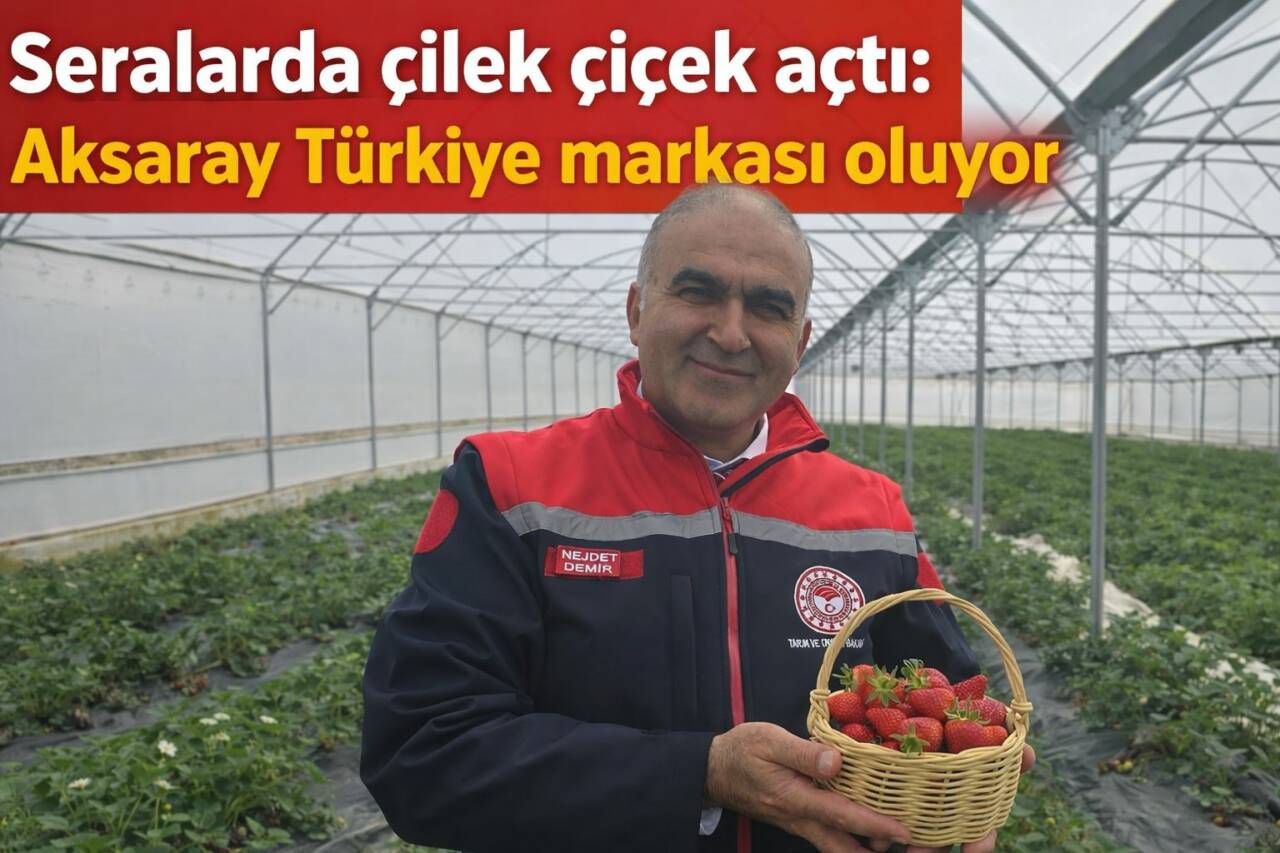 İl Tarım ve Orman Müdürü Nejdet Demir, Güzelyurt’taki çilek seralarını