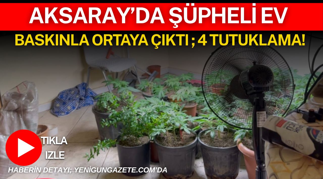 Aksaray’da narkotik ekiplerinin yürüttüğü operasyonlarda evin içerisinde kenevir üretimi başta