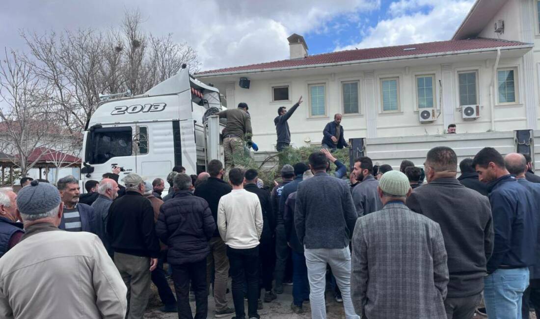 Mustafa Zavlak, belediye tarafından yürütülen ağaçlandırma çalışmaları kapsamında vatandaşlara fidan