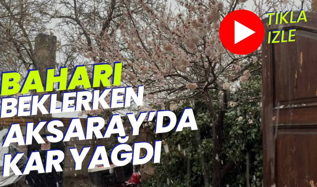 Güzelyurt’ta nisan ayının ilk haftasında yağan kar, çiçek açan ağaçları