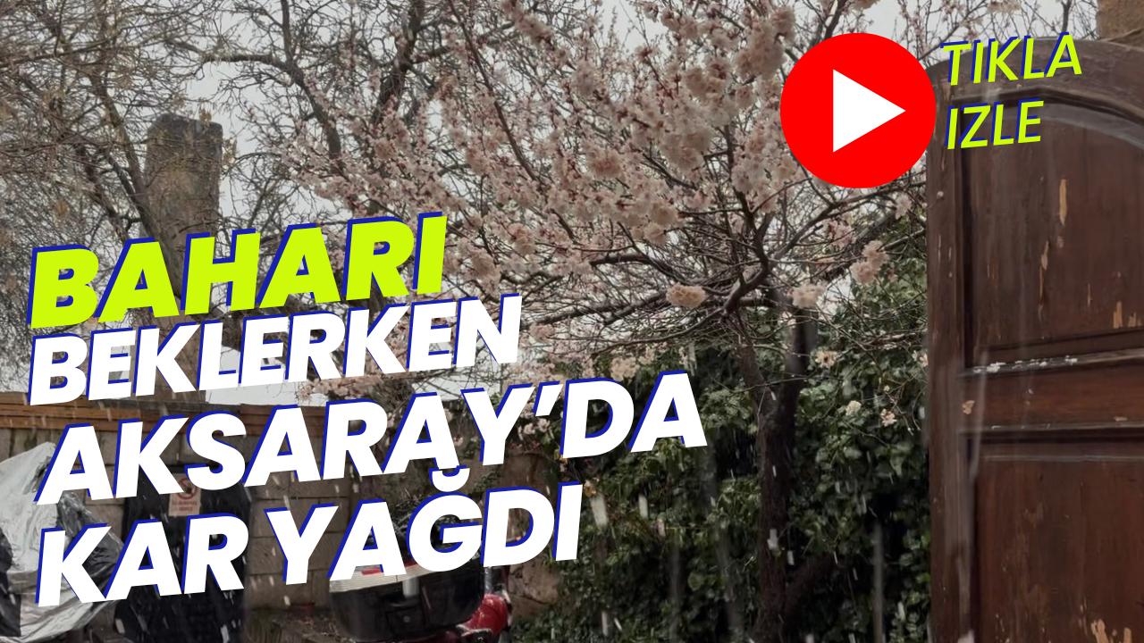 Güzelyurt’ta nisan ayının ilk haftasında yağan kar, çiçek açan ağaçları