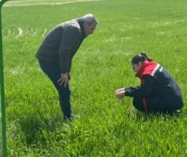 Aksaray Tarım ve Orman İl Müdürlüğü ekipleri, il genelinde hububat