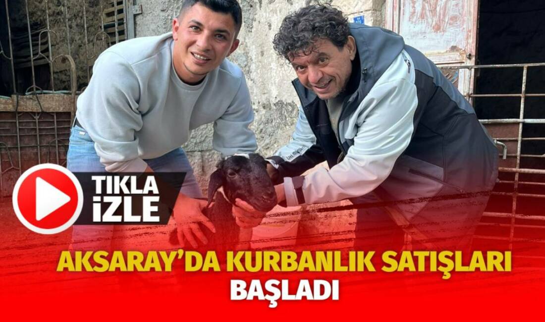 Aksaray’da Kurban Bayramı öncesi satışlar hız kazanırken, genç besici Emin