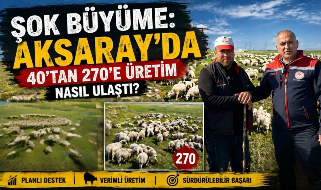 Şok büyüme: Aksaray’da 40’tan 270’e üretim nasıl ulaştı? Aksaray’da devlet destekleriyle hayvancılığa başlayan iki üreticinin işletmeleri yıllar içinde