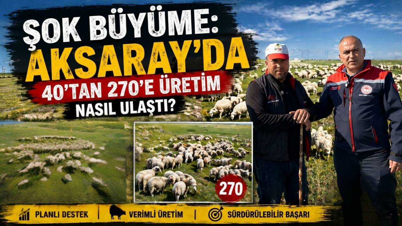 Aksaray’da devlet destekleriyle hayvancılığa başlayan iki üreticinin işletmeleri yıllar içinde