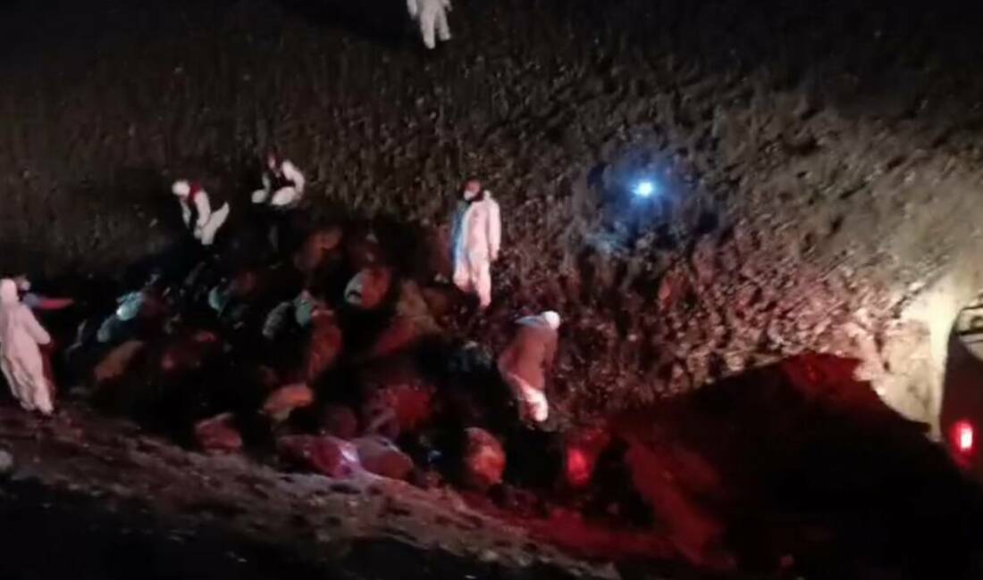 Arı saldırısında 816 koyun telef oldu! Iğdır’da yaşanan arı saldırısının ardından ortaya çıkan bilanço netleşti. Olayda