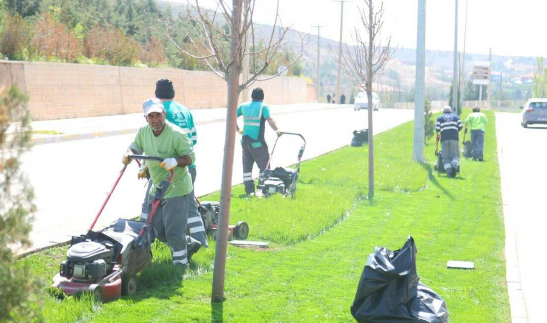 Aksaray’da Zafer Mahallesi’nde peyzaj çalışması Aksaray Belediyesi ekipleri, Zafer Mahallesi’nde çim biçme ve peyzaj düzenleme