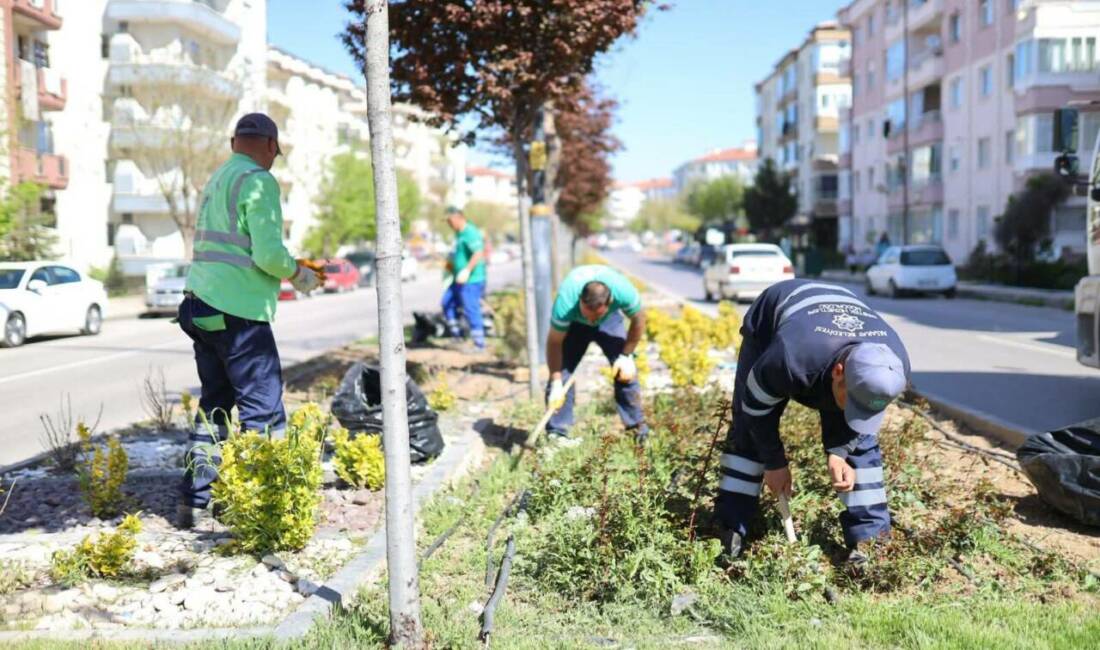 Cumhuriyet Bulvarı’nda yeşil dönüşüm: Aksaray’da peyzaj çalışmaları hız kazandı Aksaray Belediyesi, şehir estetiğini güçlendirmek ve yeşil alanları artırmak amacıyla