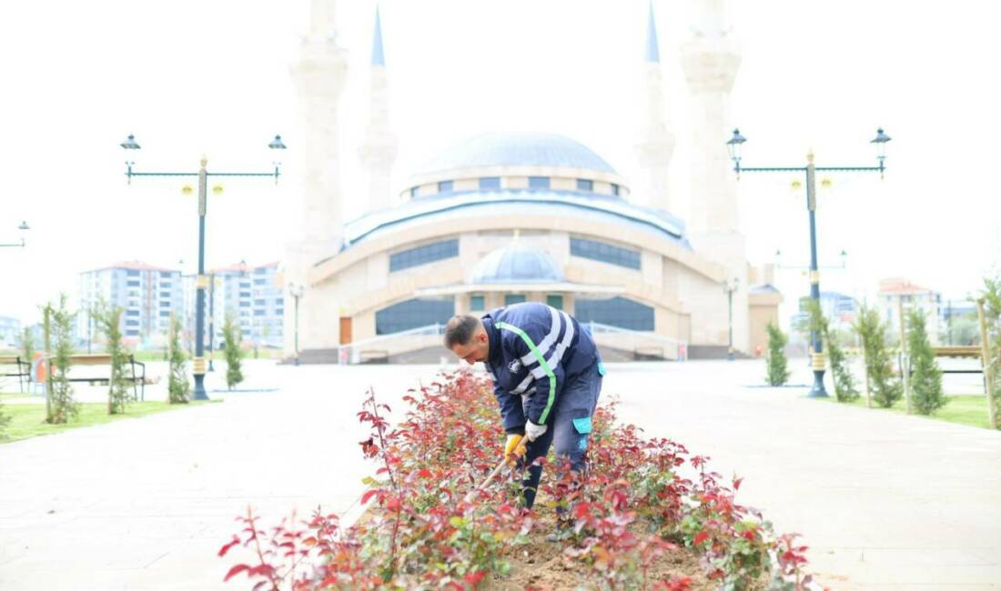Hz. Ali Şifâ Camii çevresinde estetik dokunuş Aksaray Belediyesi, Hz. Ali Şifâ Camii çevresinde yürüttüğü peyzaj çalışmalarıyla