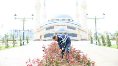Aksaray Belediyesi, Hz. Ali Şifâ Camii çevresinde yürüttüğü peyzaj çalışmalarıyla
