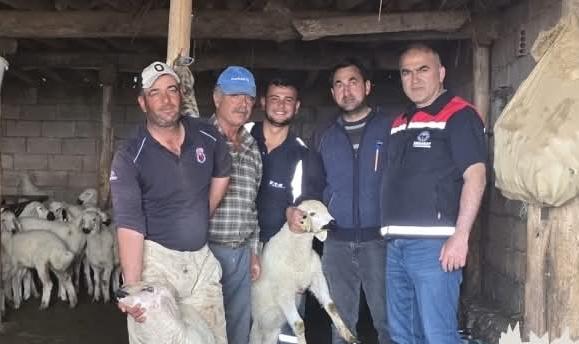 Aksaray’da üretici buluşmaları kapsamında yürütülen küçükbaş hayvan aşılama ve küpeleme