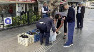 Antalya'da bir üretici maliyetini kurtarmadığı gerekçesiyle tonlarca patlıcanı halka ücretsiz