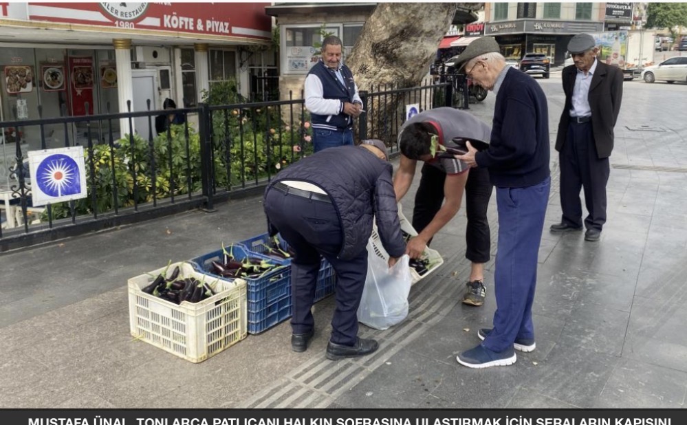 Patlıcan üreticisi maliyet kurtarmayınca seranın kapısını vatandaşa açtı! Antalya'da bir üretici maliyetini kurtarmadığı gerekçesiyle tonlarca patlıcanı halka ücretsiz