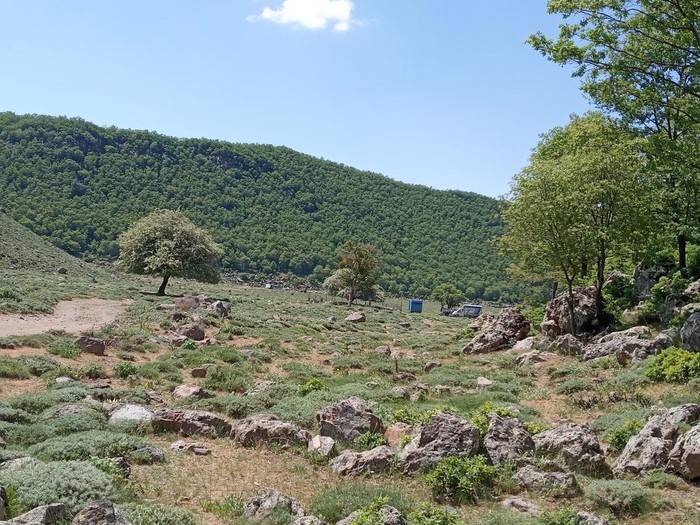 Aksaray’da artan yangın riski nedeniyle bazı ormanlık alanlara girişler 31