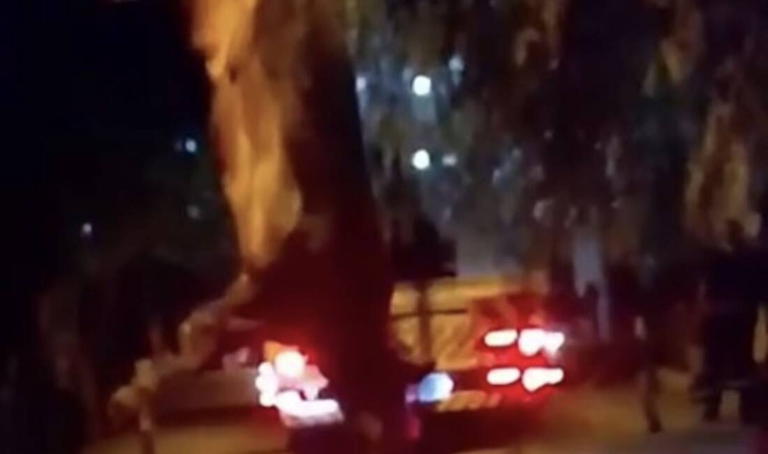 İzmir'in Bayraklı ilçesinde dereye düşen kurbanlık dana, vinç yardımıyla kurtarıldı.