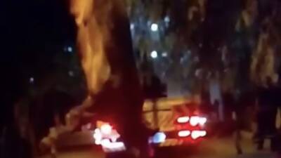İzmir'in Bayraklı ilçesinde dereye düşen kurbanlık dana, vinç yardımıyla kurtarıldı.