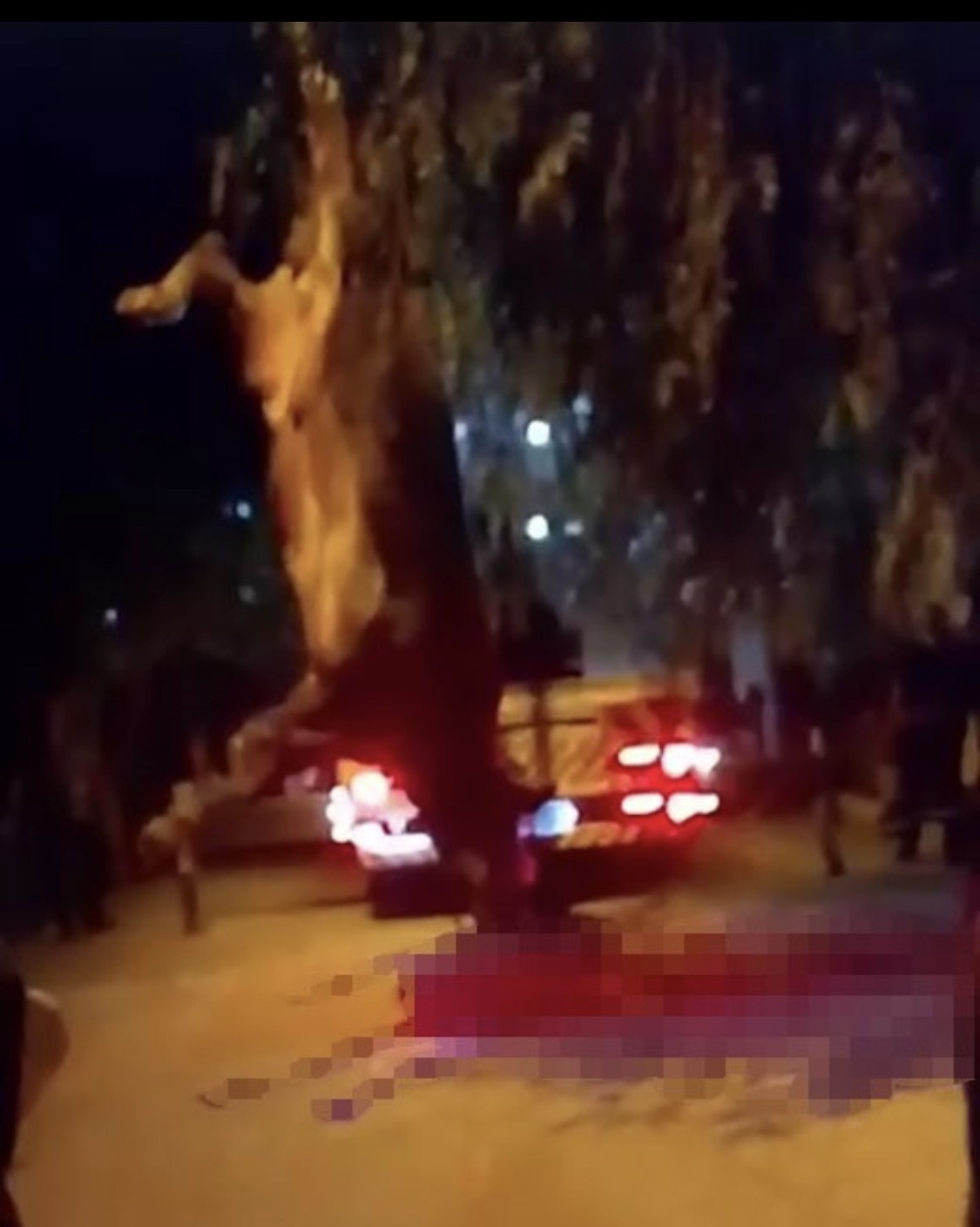 İzmir'in Bayraklı ilçesinde dereye düşen kurbanlık dana, vinç yardımıyla kurtarıldı.