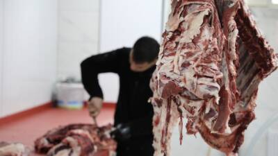 Kurban Bayramı'nda kurbanlıkların kesiminin ardından hemen dolaplara alınan etlerin kalitesinin