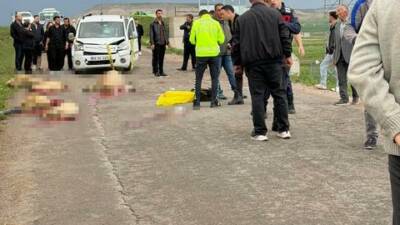 Sivas'ın Kangal ilçesinde bir aracın koyun sürücüsünün arasına daldığı kazada