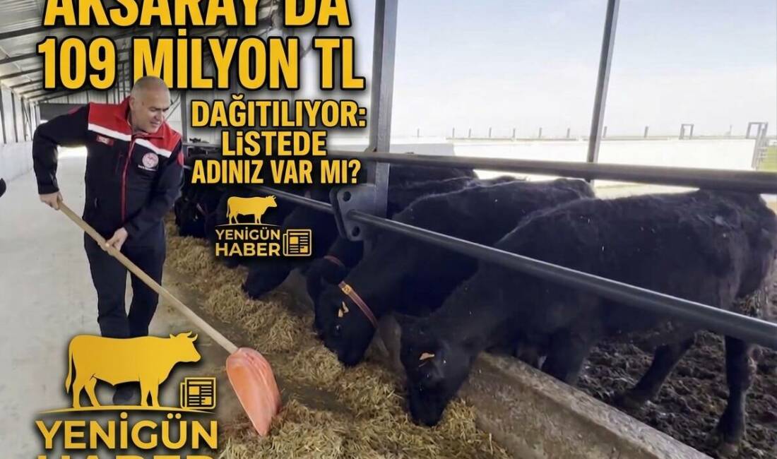 Buzağı destekleme ödemeleri başladı, peki paralar hangi tarihte hesaplara geçecek?