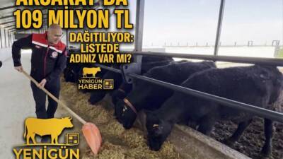 Buzağı destekleme ödemeleri başladı, peki paralar hangi tarihte hesaplara geçecek?