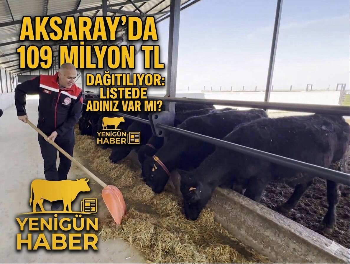 Buzağı destekleme ödemeleri başladı, peki paralar hangi tarihte hesaplara geçecek?