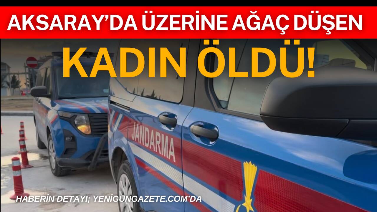 Aksaray’ın Güzelyurt ilçesine bağlı Ihlara kasabasında kesimi yapılan ağacın devrilmesi