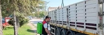 Aksaray’da kurbanlık hayvan hareketliliği bayram öncesi yoğunlaşırken, İl Tarım ve