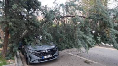 Ankara'nın Çankaya ilçesinde şiddetli rüzgarda devrilen ağaçlar nedeniyle 2 araç