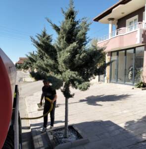 Aksaray’ın Gülağaç ilçesinde çevre ve yeşil alanların korunmasına yönelik çalışmalar