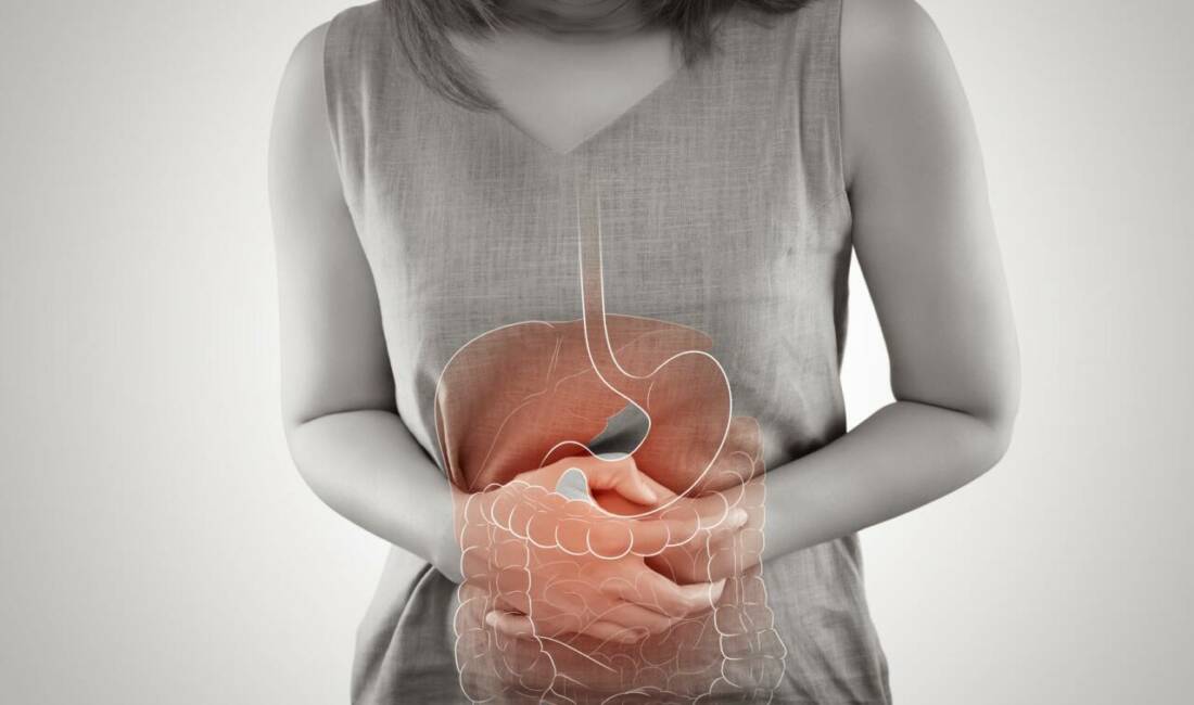 Medipol Mega Üniversite Hastanesi Gastroenteroloji Uzmanı Prof. Dr. Vedat Göral,
