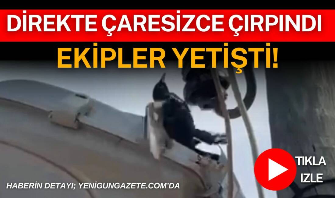 Direkte çaresizce çırpındı ekipler yetişti! Aksaray’ın Hanobası Köyü’nde elektrik direğindeki lambaya ayağı takılan kuş, iki