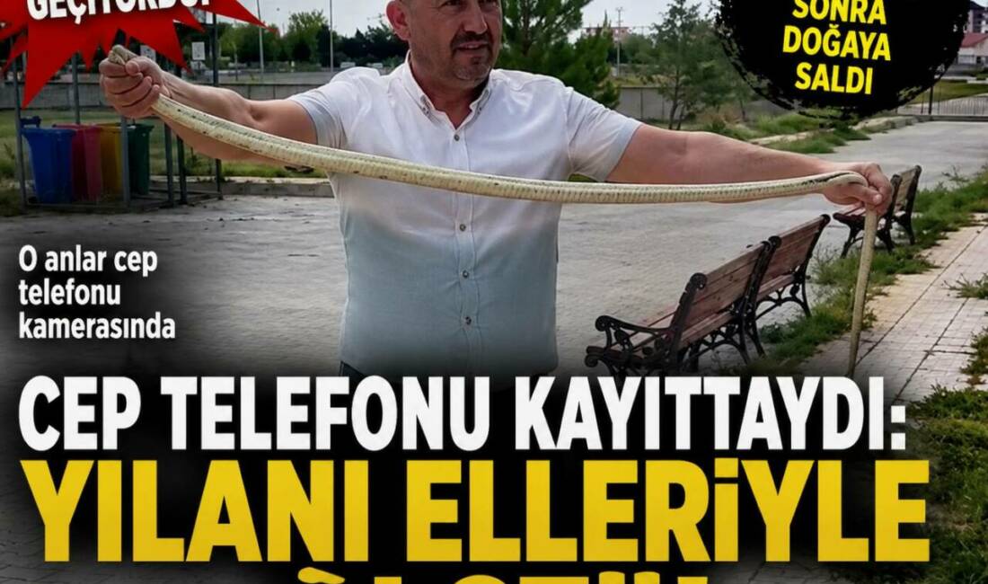 Cep Telefonu Kayıttaydı: Yılanı Elleriyle Ölçtü Aksaray’ın Eskil ilçesinde Gençlik ve Spor İlçe Müdürlüğü bahçesinde görülen