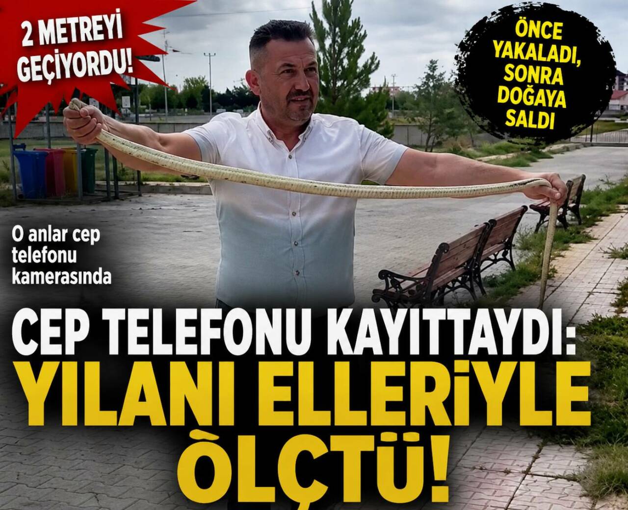Aksaray’ın Eskil ilçesinde Gençlik ve Spor İlçe Müdürlüğü bahçesinde görülen
