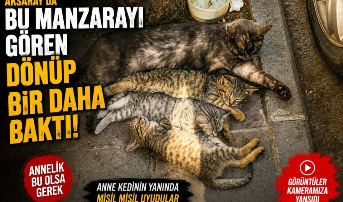 Aksaray’da Annelik Manzarası: Bu Manzarayı Gören Dönüp Bir Daha Baktı Aksaray’ın Zincirli Mahallesi’nde bir şarküterinin önünde anneleriyle birlikte uykuya dalan