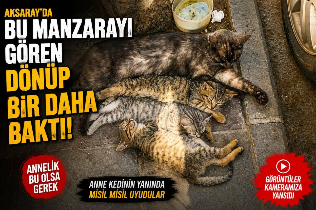 Aksaray’ın Zincirli Mahallesi’nde bir şarküterinin önünde anneleriyle birlikte uykuya dalan