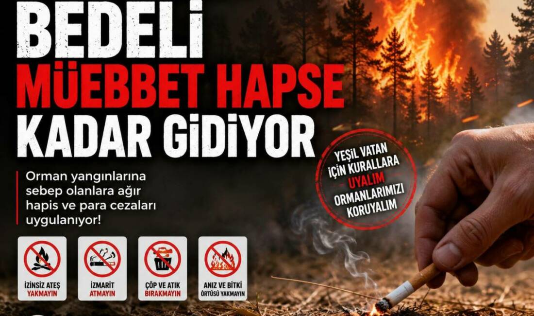 Bir Kıvılcımın Bedeli Müebbet Hapse Kadar Gidiyor Aksaray İl Tarım ve Orman Müdürlüğü, orman yangınlarının büyük bölümünün