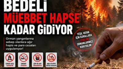 Aksaray İl Tarım ve Orman Müdürlüğü, orman yangınlarının büyük bölümünün