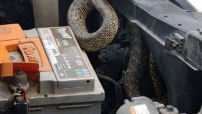 Sivas'ın Gemerek ilçesinde park halindeki otomobilin motor kısmına giren yılanı