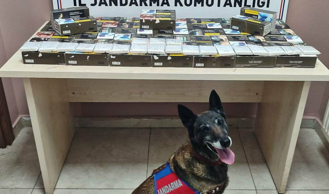 10 bin doldurulmuş makaron ele geçirildi Kayseri'nin Pınarbaşı ilçesinde, jandarma ekipleri, 10 bin doldurulmuş makaron ele