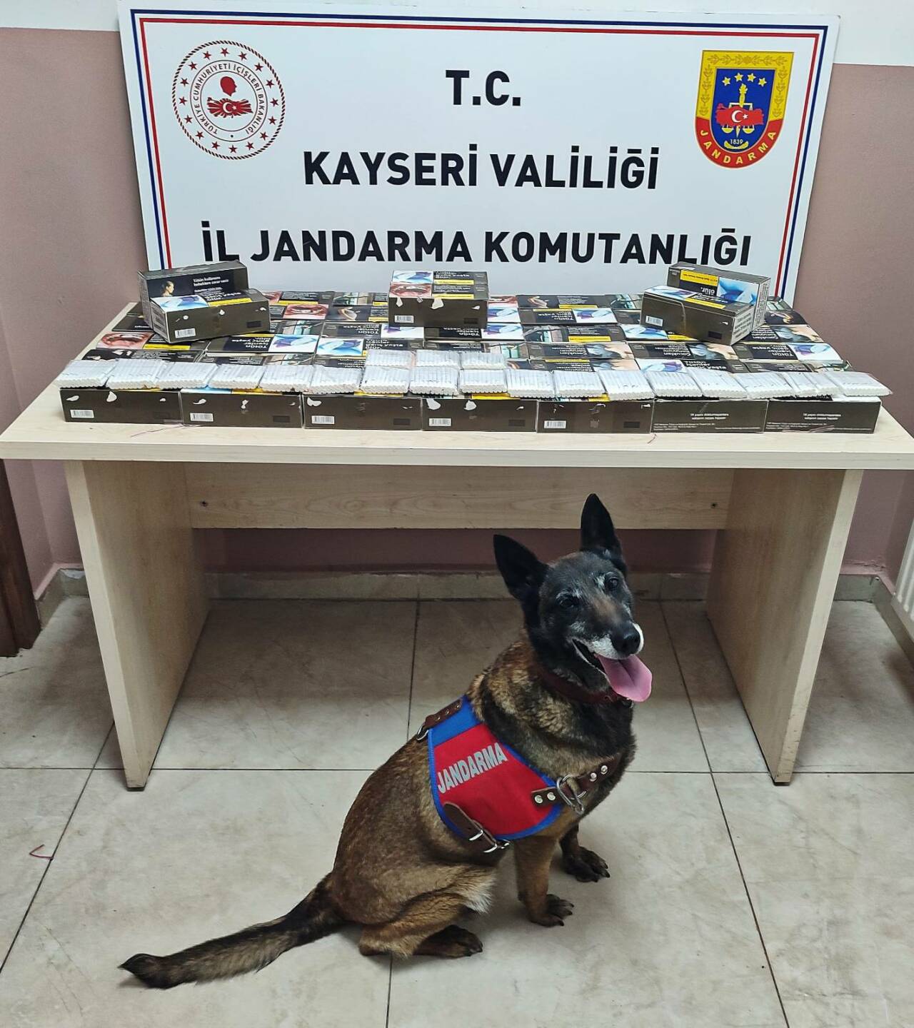 Kayseri'nin Pınarbaşı ilçesinde, jandarma ekipleri, 10 bin doldurulmuş makaron ele