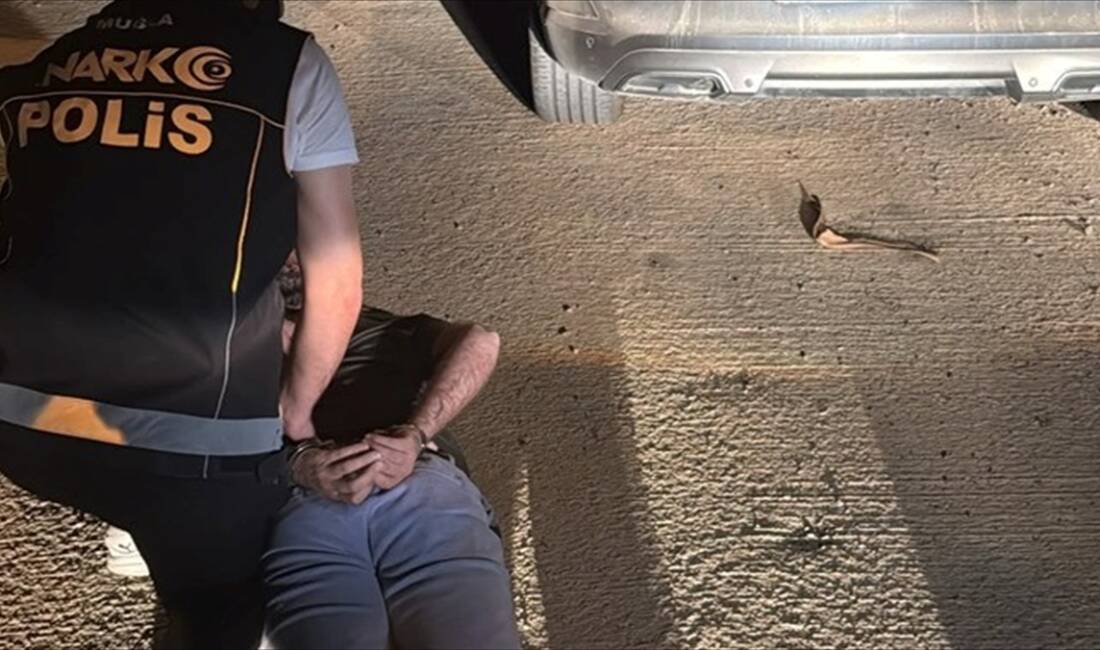 Muğla'nın Bodrum ilçesinde, uyuşturucu suçundan uluslararası seviyede kırmızı bültenle aranan