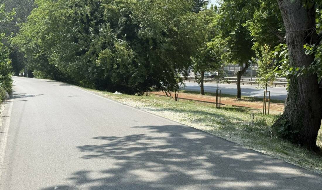 Sakarya’nın Adapazarı ilçesinde bir kişi,