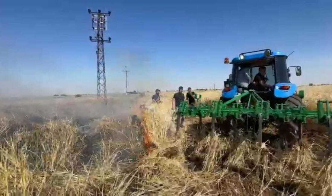 Onlarca dönümlük arpa ekili tarla kül oldu! Şanlıurfa'nın Viranşehir ilçesinde büyük emeklerle ektiği arpa tarlası gözlerinin önünde